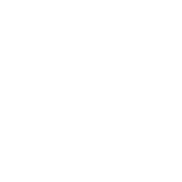 Plinning